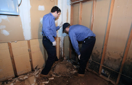 Plumber «Roto-Rooter Plumbing & Drain Services», reviews and photos, 2600 5th Ave, Seattle, WA 98121, USA