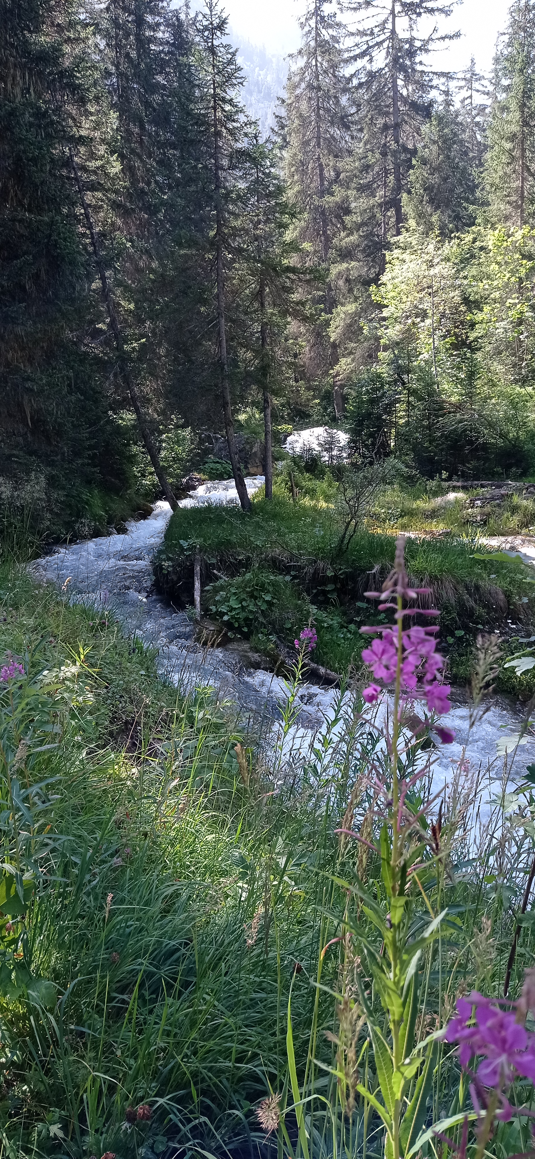 Photo n° 4 de l'avis de Debora.e fait le 16/08/2021 à 12:15