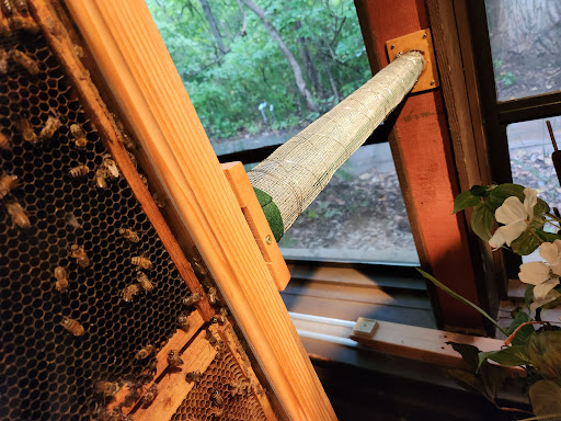 National Park «Chickasaw National Recreation Area», reviews and photos, 901 W 1st St, Sulphur, OK 73086, USA