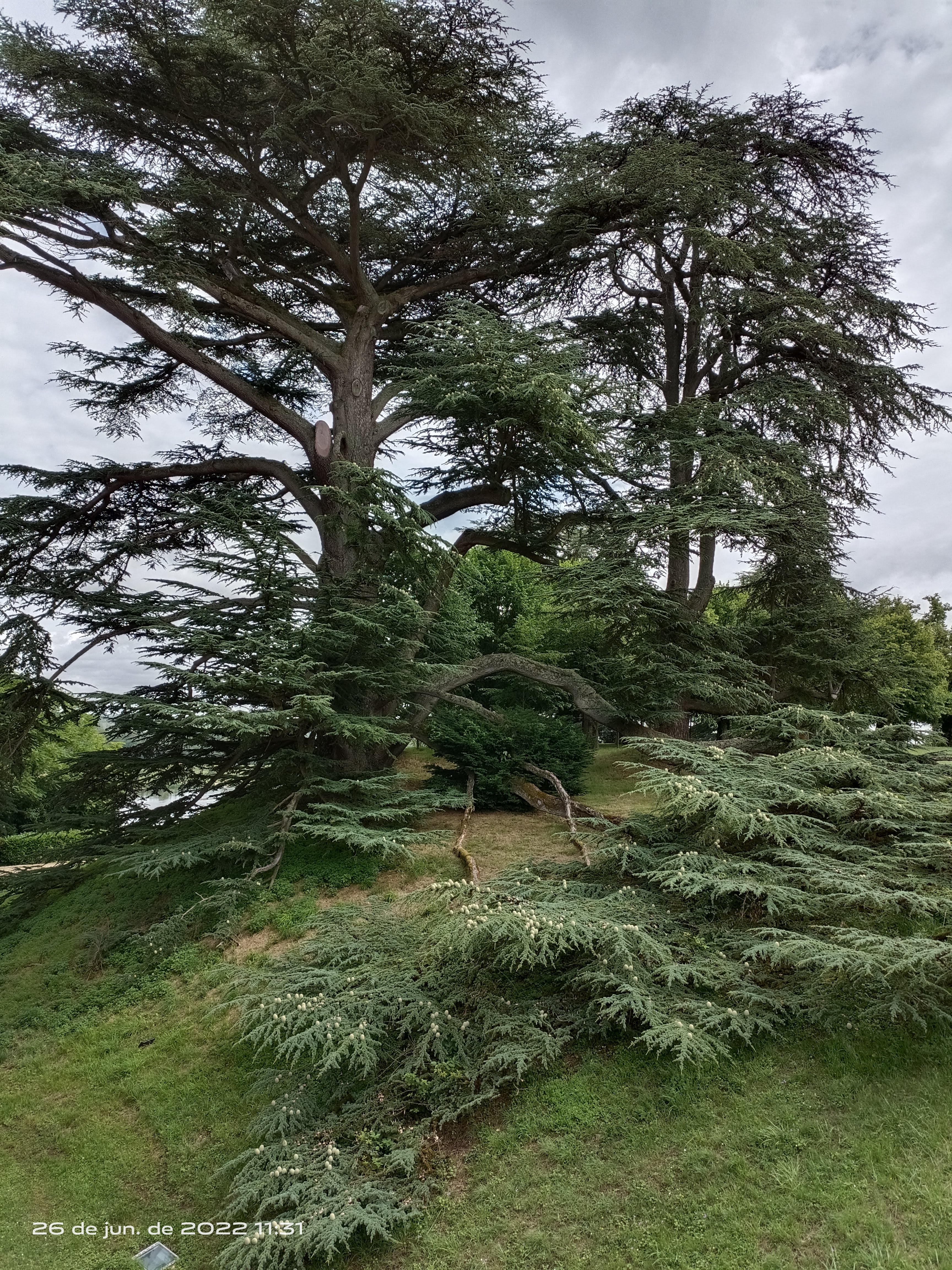 Photo n° 5 de l'avis de Menard.o fait le 07/07/2022 à 21:17