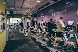 Anytime Fitness 24/7 gym Tauranga image