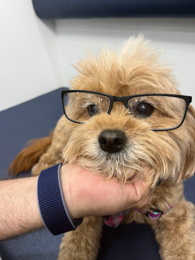 Immigration Attorney «Gerstein & Gerstein Attorneys, PA», reviews and photos