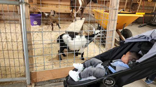 Amusement Center «Maris Farms», reviews and photos, 25001 Sumner Buckley Hwy, Buckley, WA 98321, USA