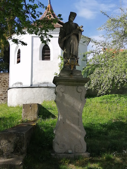 Sv. Jan Nepomucký - Želiv.