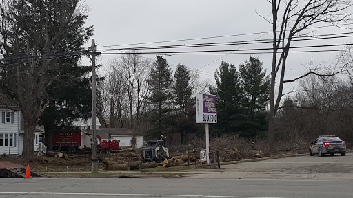 Discount Store «Dollar General», reviews and photos, 80270 Main St, Memphis, MI 48041, USA