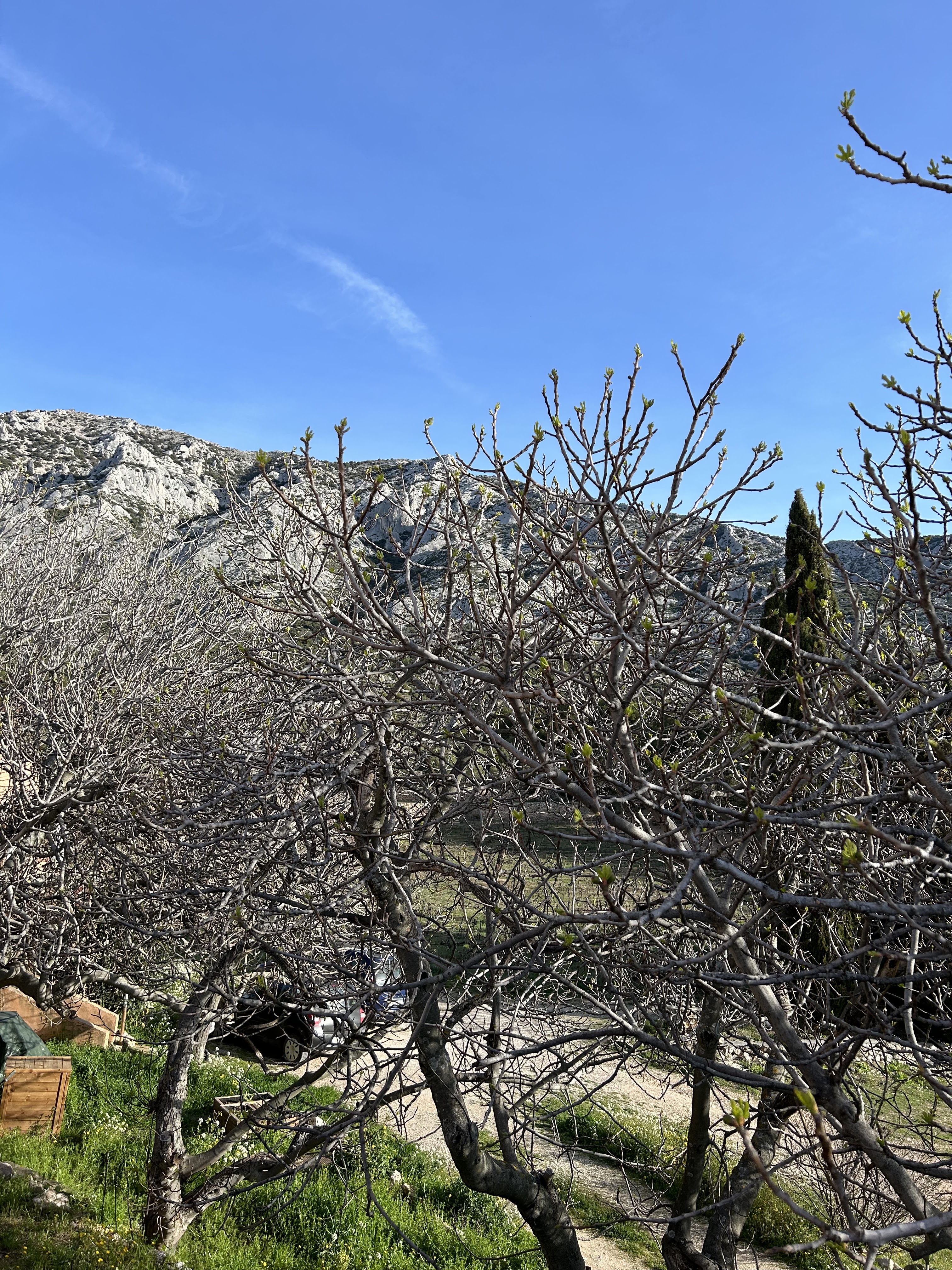 Photo n° 3 de l'avis de Cécile.a fait le 23/03/2024 à 12:21
