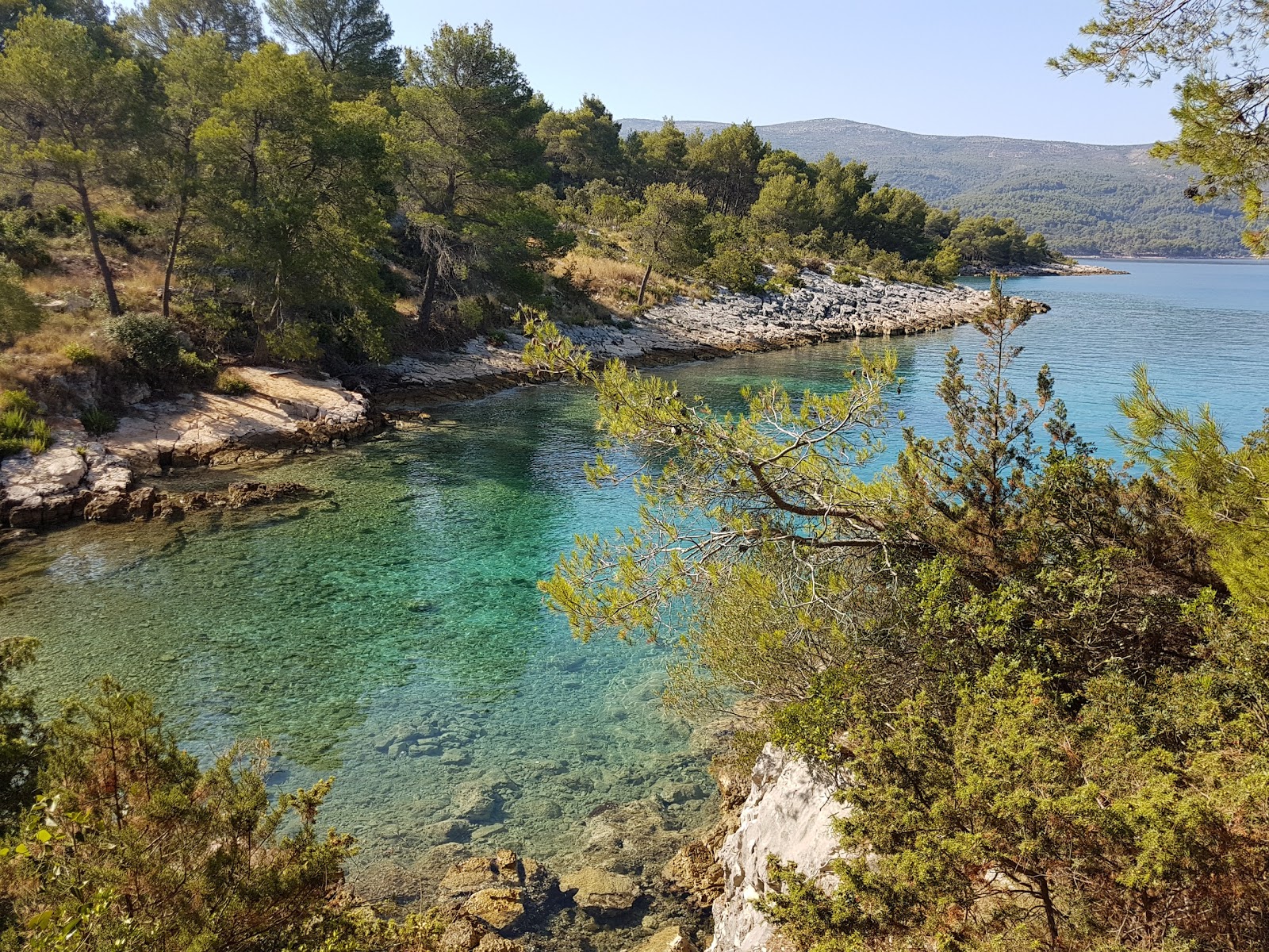 Brizenica Bay'in fotoğrafı küçük koy ile birlikte