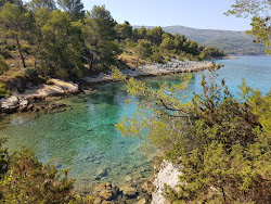 Brizenica Bay'in fotoğrafı çok temiz temizlik seviyesi ile