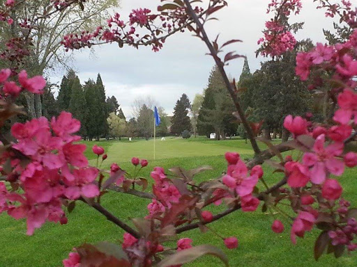 Golf Course «Albany Golf & Event Center / Spring Hill Golf Club», reviews and photos, 155 NW Country Club Ln, Albany, OR 97321, USA