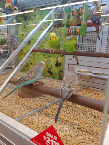 Pet Store «PetSmart», reviews and photos, 727 N Hwy 67, Cedar Hill, TX 75104, USA