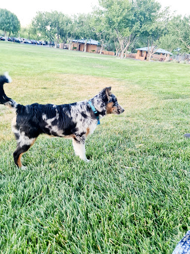 Park «Pueblo Park», reviews and photos, Peublo Vista Dr, Las Vegas, NV 89128, USA