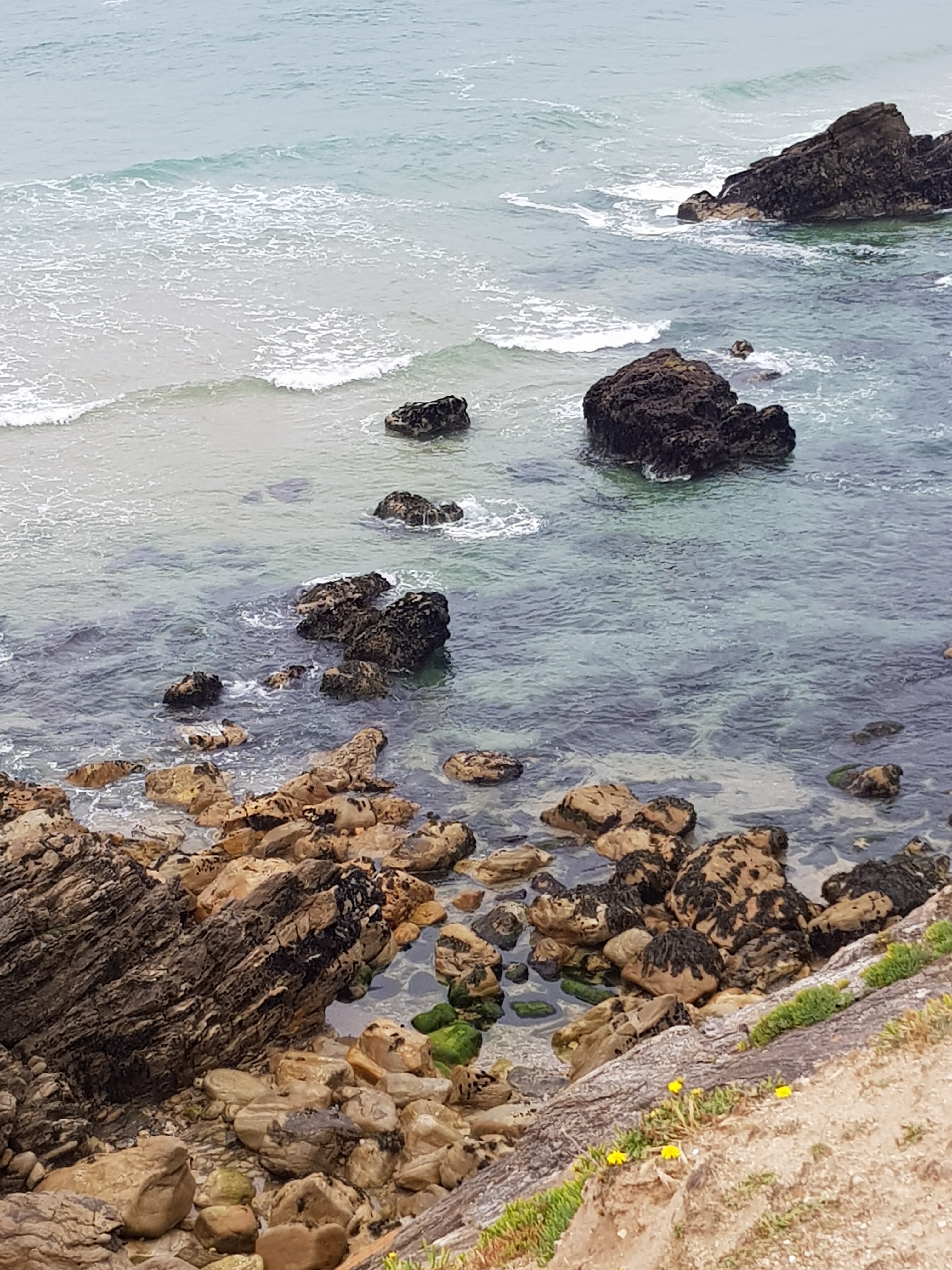 Photo n° 5 de l'avis de Aurélie.e fait le 23/06/2019 à 20:28