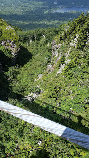 Tourist Attraction «Mile High Swinging Bridge», reviews and photos, US 221 and Blue Ridge parkway, Linville, NC 28646, USA