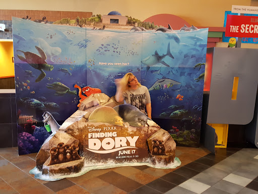 Movie Theater «Regal Cinemas Westchester Commons 16», reviews and photos, 361 Perimeter Dr, Midlothian, VA 23114, USA