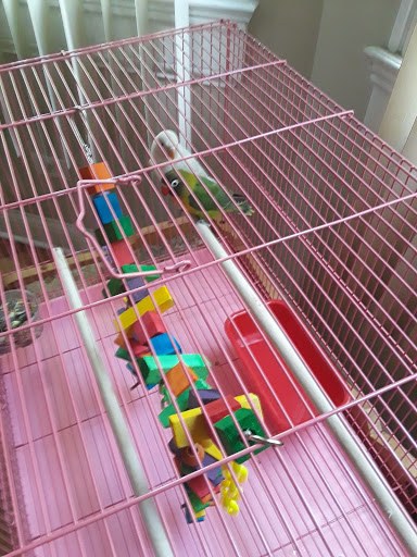Pet Supply Store «Super Pet Store», reviews and photos, 5220 S Pulaski Rd, Chicago, IL 60632, USA