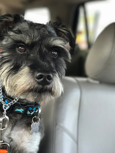 Pet Supply Store «Dinovite», reviews and photos, 101 Miller Dr, Crittenden, KY 41030, USA