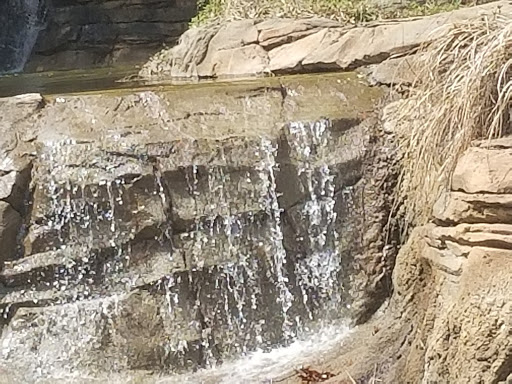 Zoo «Caldwell Zoo», reviews and photos, 2203 W Martin Luther King Jr Blvd, Tyler, TX 75702, USA