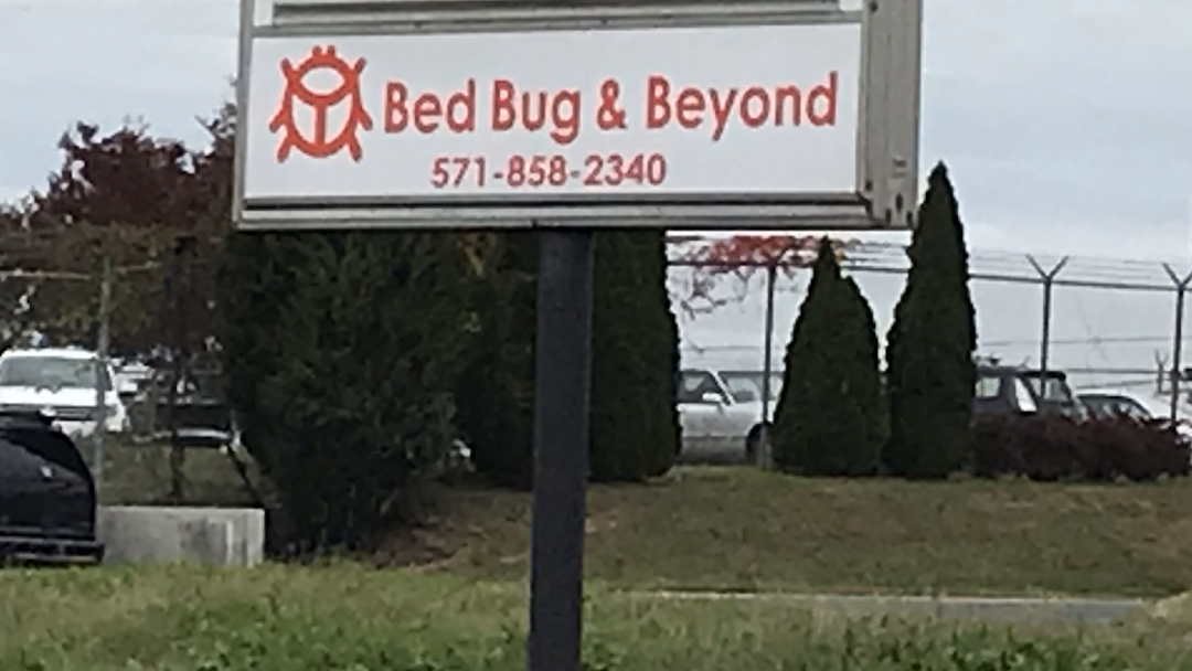 Bed Bug & Beyond