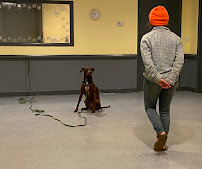 Woof in the Woods - Photo 9 - Car repair in Fairview, NC, Asheville