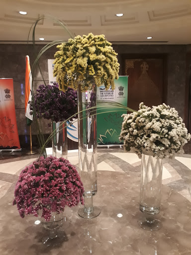 Ferns N Petals : Florist in Lajpat Nagar, Delhi