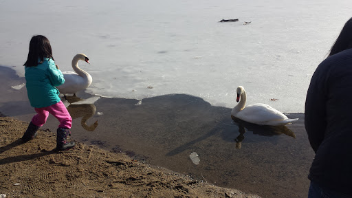 Park «Spy Pond Park», reviews and photos, Pond Lane, Arlington, MA 02474, USA