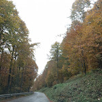 Photo n°1 de l'avis de graziano.o fait le 30/10/2023 à 17:04 sur le  Baita Camol Food & Drink à Località Cà Mol