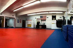 Mid-Michigan Academy of Martial Arts image