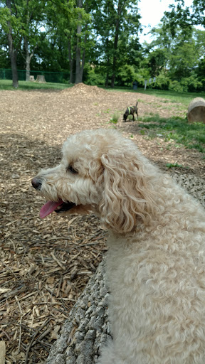 Park «Schappacher Park», reviews and photos, 4686 Old Irwin Simpson Rd, Mason, OH 45040, USA