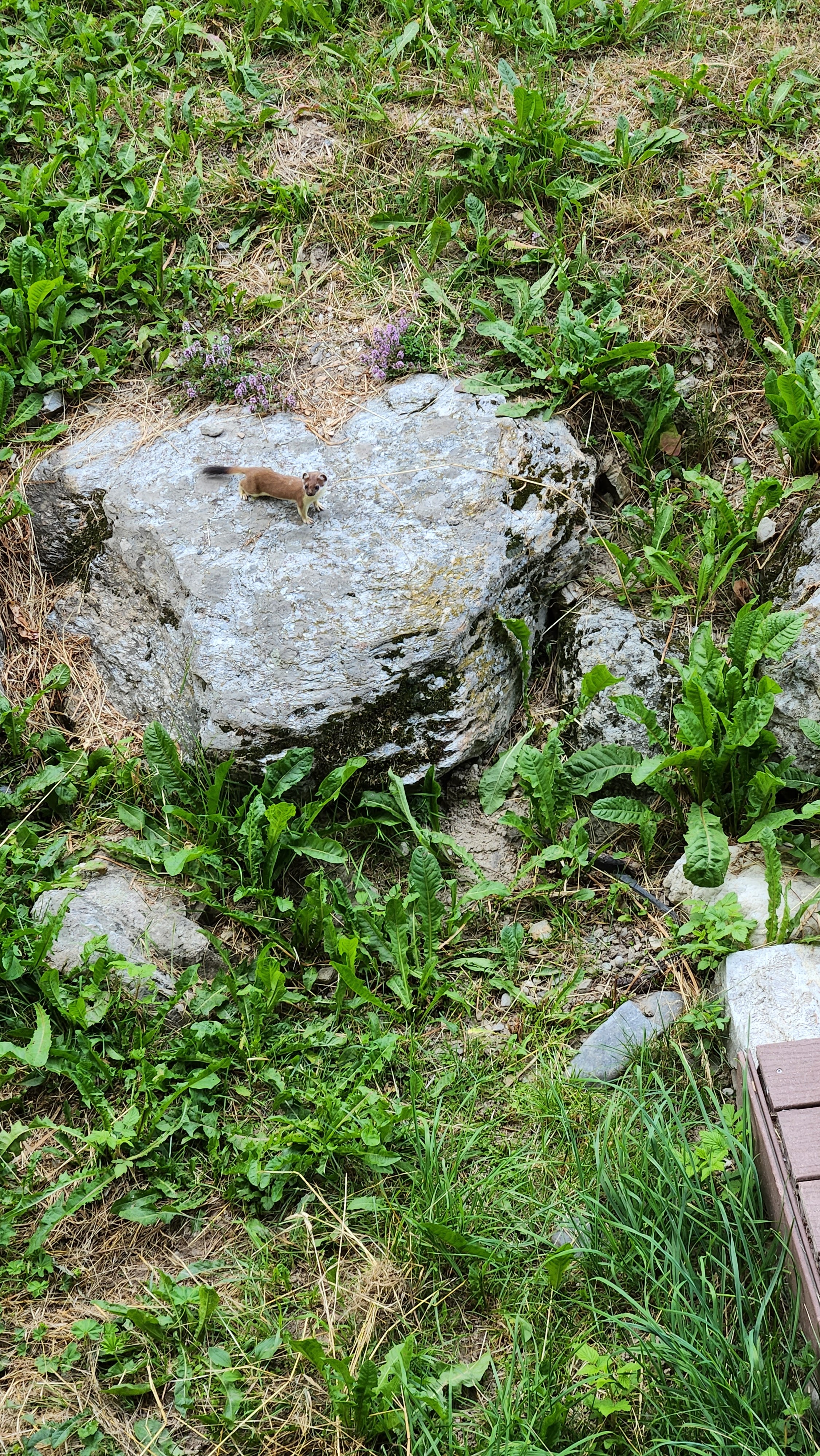 Photo n° 6 de l'avis de Joe2709. fait le 23/07/2023 à 10:44