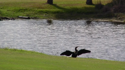 Country Club «Gator Trace Golf & Country Club», reviews and photos, 4302 Gator Trace Dr, Fort Pierce, FL 34982, USA