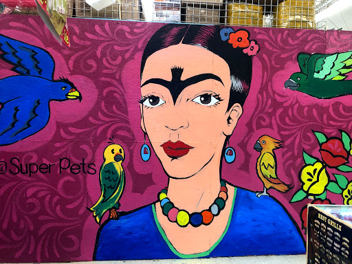 Pet Supply Store «Super Pet Store», reviews and photos, 5220 S Pulaski Rd, Chicago, IL 60632, USA