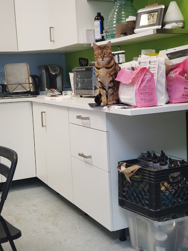 Pet Supply Store «The Pet Beastro», reviews and photos, 27637 John R Rd, Madison Heights, MI 48071, USA