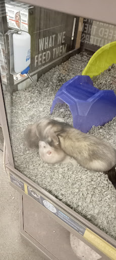 Pet Supply Store «Petco Animal Supplies», reviews and photos, 474 228th Ave NE, Sammamish, WA 98074, USA