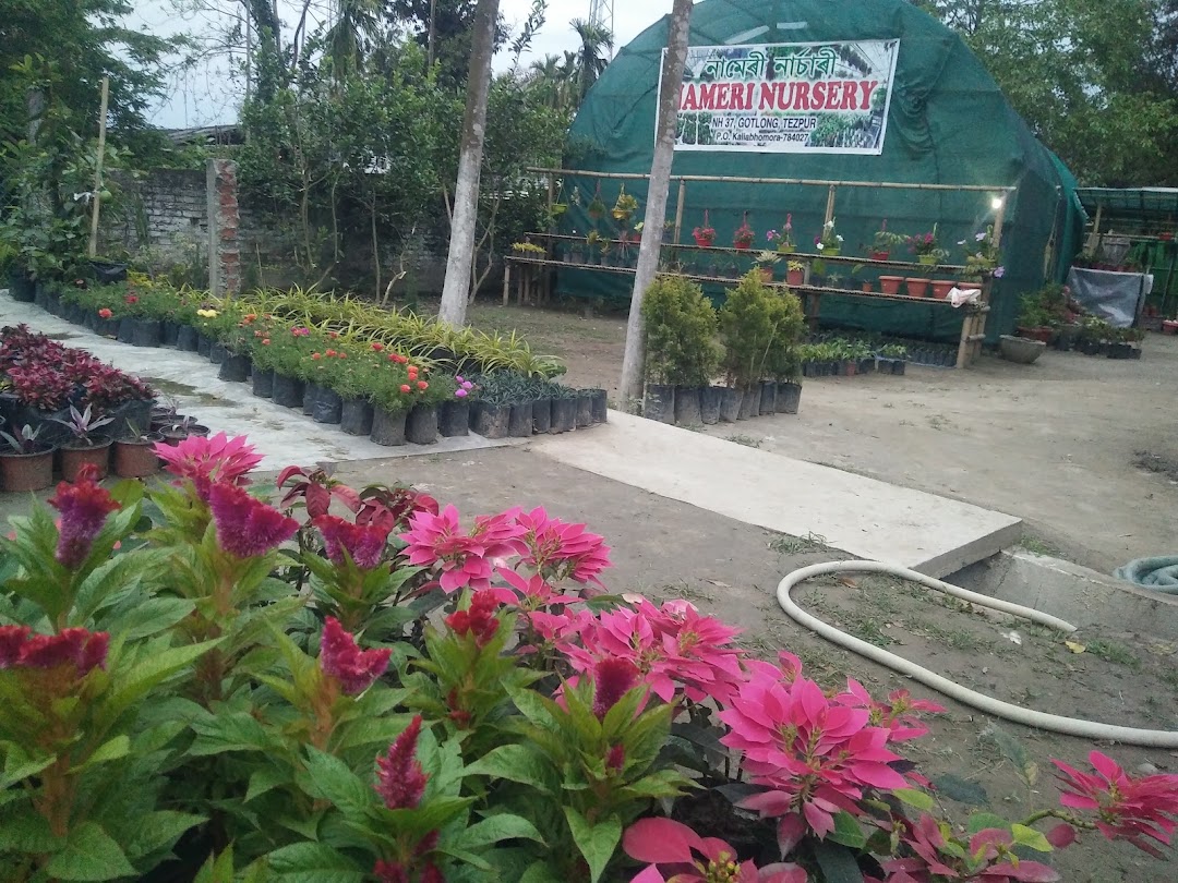 Nameri Nursery