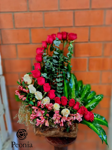 Peonias floreria – Puerto Escondido