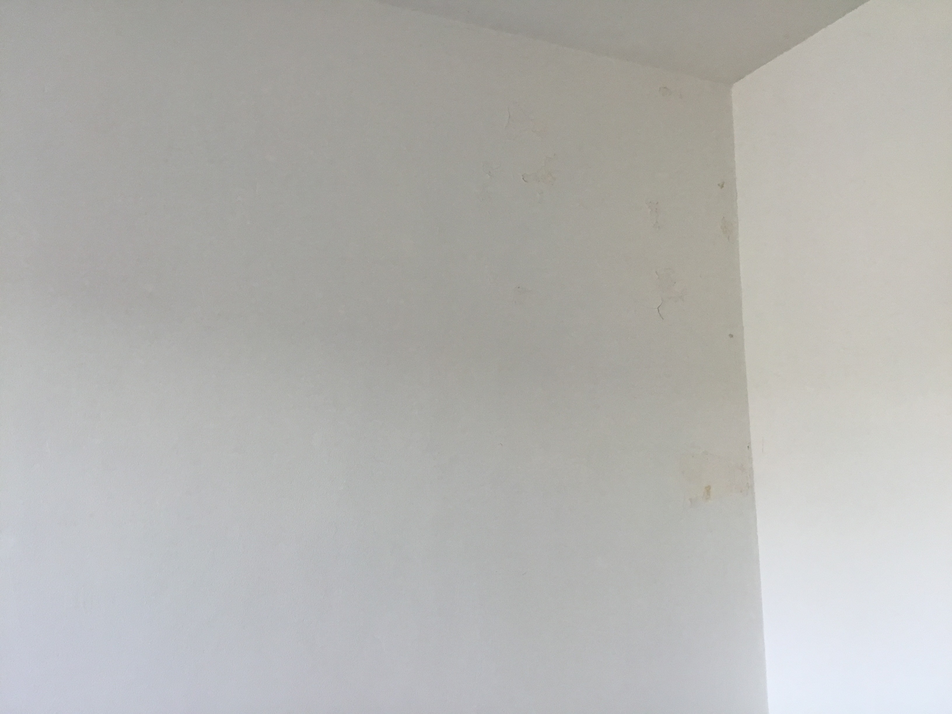 Photo n° 4 de l'avis de Ruddy.o fait le 09/03/2024 à 12:37