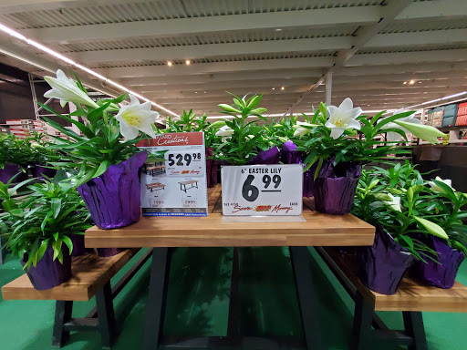 Home Improvement Store «Menards», reviews and photos, 10251 Baltimore St NE, Blaine, MN 55449, USA