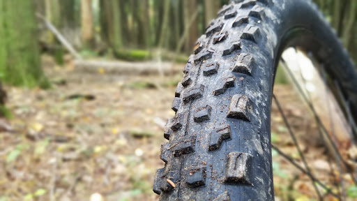 State Park «Swatara State Park», reviews and photos, 1450 Suedberg Rd, Pine Grove, PA 17963, USA