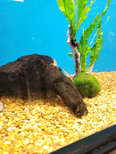 Pet Supply Store «Petco Animal Supplies», reviews and photos, 1660 Orchard Gateway Blvd, North Aurora, IL 60542, USA