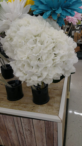 Craft Store «Hobby Lobby», reviews and photos, 8195 S Tamiami Trail, Sarasota, FL 34231, USA