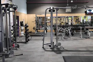 Anytime Fitness Holland Road image