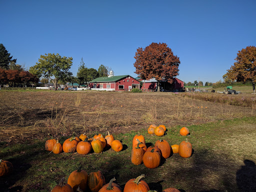 Railroad Company «Flower Farmer», reviews and photos, 2512 N Holly St, Canby, OR 97013, USA