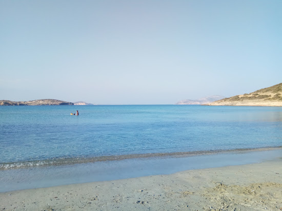 Alygaria Kampos