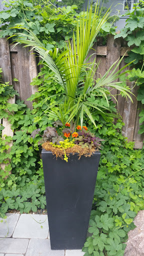 Florist «La Petite Fleur», reviews and photos, 259 Prescott St, St Paul, MN 55107, USA