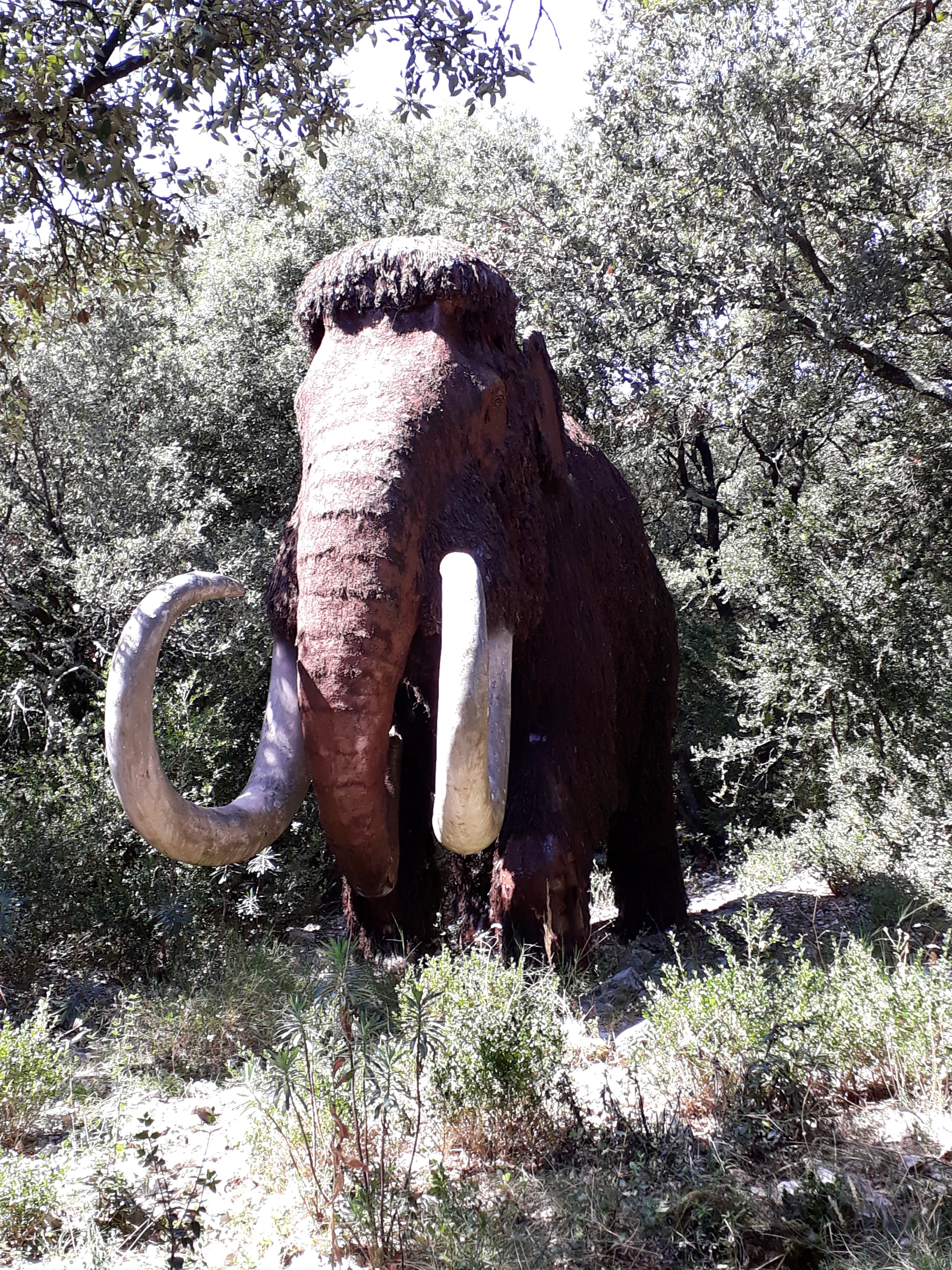 Photo n° 12 de l'avis de Jean-francois.o fait le 28/08/2018 à 14:16