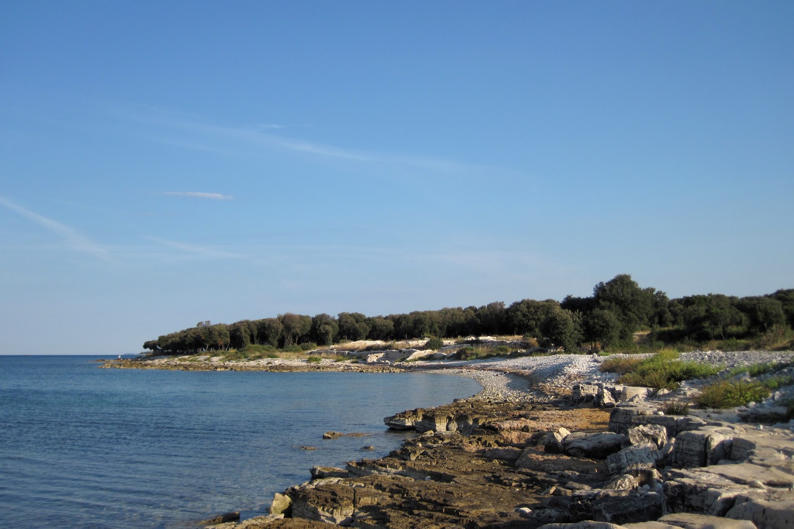 Foto av Dragonera beach med stenar yta