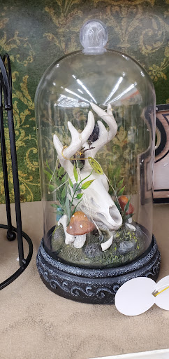 Craft Store «Michaels», reviews and photos, 5501 Lone Tree Way, Brentwood, CA 94513, USA