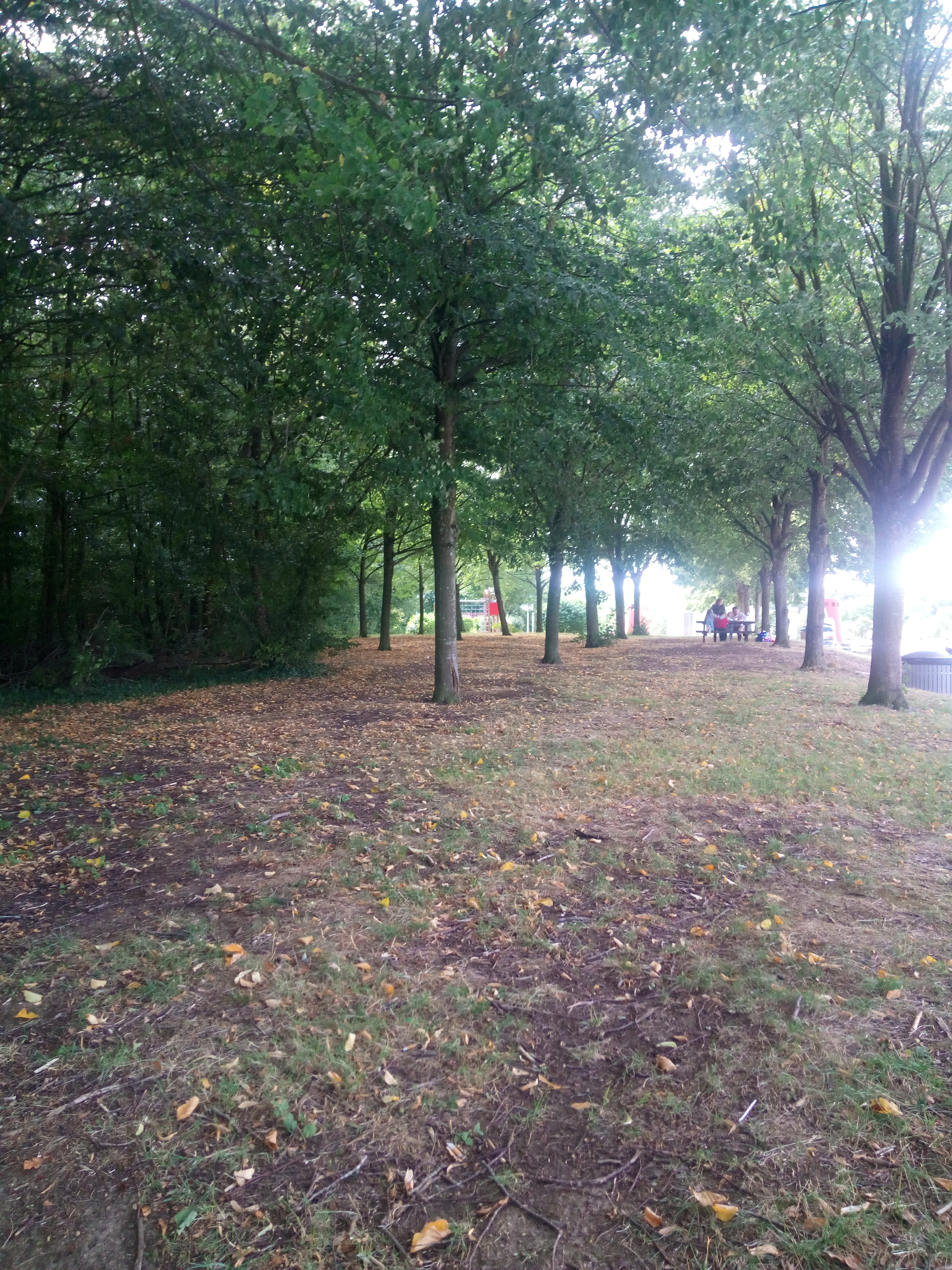 Photo n° 1 de l'avis de christine.o fait le 12/08/2019 à 10:18