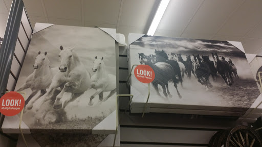 Craft Store «Hobby Lobby», reviews and photos, 2417 W Main St, Norman, OK 73069, USA