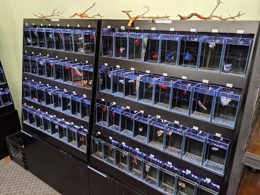 Tropical Fish Store «Aquarium Co-Op», reviews and photos, 9661 Firdale Ave, Edmonds, WA 98020, USA